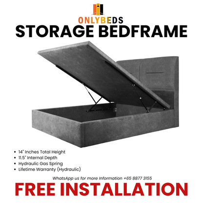 Storage Bedframe with Headrest #88